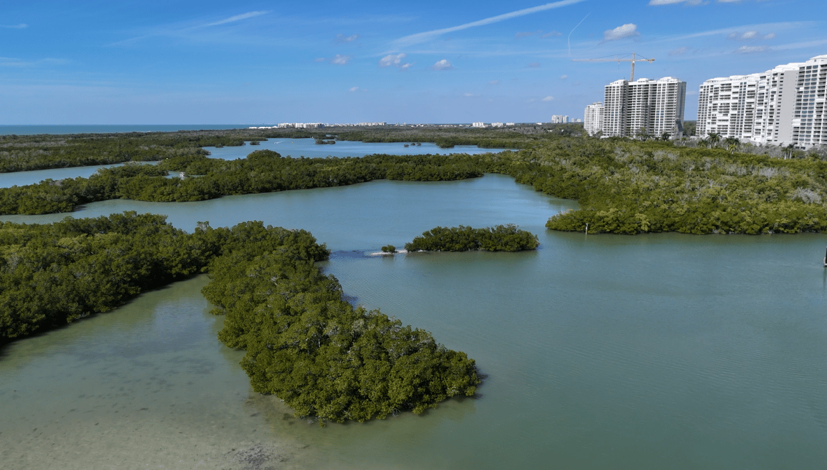 Top Mistakes First-Time Boat Buyers Make (And How To Avoid Them)
